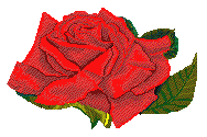 arango