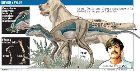 Diario Accion de General Rodriguez, politica, actualidad, noticias e informacion, personalidades e instituciones, policiales, galerias de fotos; historia de General Rodriguez, sus origenes, edificios, estancias, habitos y costumbres, anecdotas, comercios e industrias, los fundadores, antiguas instituciones, fotos e imagenes; suplementos especiales: la crisis politica, economica y social de la Argentina, los acontecimientos de Diciembre de 2001, articulos y entrevistas; Emigracion: toda la informacion destinada a aquellos que desean emigrar, radicarse o estudiar en el exterior, visas, pasaportes, consejos, guias, informacion util, links; Trueque: novedades e informacion, links, estructura del trueque; el casamiento de Maxima Zorreguieta y el principe Guillermo Alejandro de Holanda; Guerra de Afganistan: galeria de imagenes e informacion sobre la primera guerra del siglo XXI; el atentado a las torres Gemelas de Nueva York y dscripcion del hecho que conmovio al mundo; Empleo: consultoras, clasificados, agencias de empleo, consejos e informacion util, curriculum vitae, como confeccionarlos, noticias de actualidad; 
Los numeros de la crisis: Las consecuencias de la crisis politica, economica y social; estadisticas, pobreza, desnutricion, salud y asistencia; noticias regionales y provinciales, columnas y editoriales; informacion para negocios: pymes, links, empresas y negocios; Agenda Cultural con toda la informacion de cursos, universidades, talleres, escuelas y oportunidades, exposiciones de arte de la region; buscadores en Internet, Enlaces: links a los mejores sitios de educacion, cultura, arte, biografias, politica, interes general, web, Links del Diario Accion: RMS Titanic, su historia, su tragico viaje inaugural; historias, testimonios, documentos y articulos sobre el naufragio; links y sitios sobre el tema; la pelicula de Cameron, fotos e imagenes; suplementos especiales, Historia Argentina y de General Rodriguez, la llegada de la democracia en General Rodriguez, la asuncion de Juan Lumbreras como intendente en 1983, galeria de imagenes, sus palabras y los actos, su gabinete, festejos de la comunidad. Fundacion del pueblo de General Rodriguez, sus instituciones y personalidades relevantes, arquitectura y edificios, comercios e industrias, sus comienzos, estancias, inmigraciones italianas, espaolas, vascas e irlandesas, anecdotas y efemerides, sus hombres ilustres, el Hospital Vicente Lopez y Planes, su fundacion por las Damas de Beneficencia, el hundimiento del crucero General Belgrano, testimonios de ex combatientes y tripulantes, su comandante Hector Elias Bonzo, fotos e imagenes, recuerdos y homenajes, historia de la familia Bonzo de General Rodriguez, entrevistas y articulos periodisticos. La guerra de Malvinas en el Atlantico Sur, el conflicto belico con Gran Bretaa de 1982, politicos relevantes, Benjamin Paez y Trueba, fotos antiguas de familias fundadoras, galerias de imagenes de pobladores, recorrida virtual por el antiguo General Rodriguez, el paso de la Infanta en 1910, historia de La Serenisima, la familia Mastellone, La Choza, Bernardo de Irigoyen, peronismo y radicalismo y muchisimo mas