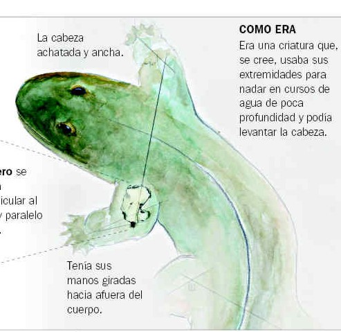 Prehistoria,fosiles,paleontologia,descubrimientos,Lyall Anderson,Mike Newman, Stonehaven,Universidad de Yale,Escocia,Lago Ness,monstruo,Sunday Herald,dinosaurios,eras geologicas,evolucion,cavernas,hombres,prehistoria,jurassik park,Nicolino de Pasquale,calculadora,Incas,aztecas,mayas,arqueologia,excavaciones,descubrimientos,Peru,Mexico,Bolivia,Tiahuanaco,Cuzco,Tikal,Palenque,Chichen Itza,Latinoamerica,Hispanoamerica,culturas precolombinas,imagenes,fotos,links,postcard,photos,images,imperios,antiguedad,Antiguo,Nuevo,Testamento,Jesucristo,vegetarianismo,Juan Pablo II,Vaticano,holocausto,evangelios,historias,Israel,Ultima Cena,Biblia,apostoles,Iglesia Adventista del Septimo Dia,cristianos,arqueologias,excavaciones,Mar Muerto,Sodoma,Gomorra,2004,jubileo,Palestina,Diario Accion de General Rodriguez, politica, actualidad, noticias e informacion, personalidades e instituciones, policiales, galerias de fotos; historia de General Rodriguez, sus origenes, edificios, estancias, habitos y costumbres, anecdotas, comercios e industrias, los fundadores, antiguas instituciones, fotos e imagenes; suplementos especiales: la crisis politica, economica y social de la Argentina, los acontecimientos de Diciembre de 2001, articulos y entrevistas; Emigracion: toda la informacion destinada a aquellos que desean emigrar, radicarse o estudiar en el exterior, visas, pasaportes, consejos, guias, informacion util, links; Trueque: novedades e informacion, links, estructura del trueque; el casamiento de Maxima Zorreguieta y el principe Guillermo Alejandro de Holanda; Guerra de Afganistan: galeria de imagenes e informacion sobre la primera guerra del siglo XXI; la guerra de Irak, Bagdad, Georges W. Bush, Saddam Husseim, el atentado a las torres Gemelas de Nueva York, las twin towers, el 11-s, y descripcion del hecho que conmovio al mundo; Empleo: consultoras, clasificados, agencias de empleo, consejos e informacion util, curriculum vitae, como confeccionarlos, noticias de actualidad; 
Los numeros de la crisis: Las consecuencias de la crisis politica, economica y social; estadisticas, pobreza, desnutricion, salud y asistencia; noticias regionales y provinciales, columnas y editoriales; informacion para negocios: pymes, links, empresas y negocios; Agenda Cultural con toda la informacion de cursos, universidades, talleres, escuelas y oportunidades, exposiciones de arte de la region; buscadores en Internet, Enlaces: links a los mejores sitios de educacion, cultura, arte, biografias, politica, interes general, web, Links del Diario Accion: RMS Titanic, su historia, su tragico viaje inaugural; historias, testimonios, documentos y articulos sobre el naufragio; links y sitios sobre el tema; la pelicula de Cameron, fotos e imagenes; suplementos especiales, Historia Argentina y de General Rodriguez, la llegada de la democracia en General Rodriguez, la asuncion de Juan Lumbreras como intendente en 1983, galeria de imagenes, sus palabras y los actos, su gabinete, festejos de la comunidad. Fundacion del pueblo de General Rodriguez, sus instituciones y personalidades relevantes, arquitectura y edificios, comercios e industrias, sus comienzos, estancias, inmigraciones italianas, españolas, vascas e irlandesas, anecdotas y efemerides, sus hombres ilustres, el Hospital Vicente Lopez y Planes, su fundacion por las Damas de Beneficencia, el hundimiento del crucero General Belgrano, testimonios de ex combatientes y tripulantes, su comandante Hector Elias Bonzo, fotos e imagenes, recuerdos y homenajes, historia de la familia Bonzo de General Rodriguez, entrevistas y articulos periodisticos. La guerra de Malvinas en el Atlantico Sur, el conflicto belico con Gran Bretaña de 1982, politicos relevantes, Benjamin Paez y Trueba, fotos antiguas de familias fundadoras, galerias de imagenes de pobladores, recorrida virtual por el antiguo General Rodriguez, el paso de la Infanta en 1910, historia de La Serenisima, la familia Mastellone, La Choza, Bernardo de Irigoyen, peronismo y radicalismo y muchisimo mas