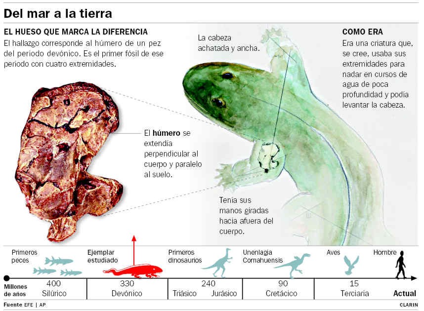Prehistoria,fosiles,paleontologia,descubrimientos,Lyall Anderson,Mike Newman, Stonehaven,Universidad de Yale,Escocia,Lago Ness,monstruo,Sunday Herald,dinosaurios,eras geologicas,evolucion,cavernas,hombres,prehistoria,jurassik park,Nicolino de Pasquale,calculadora,Incas,aztecas,mayas,arqueologia,excavaciones,descubrimientos,Peru,Mexico,Bolivia,Tiahuanaco,Cuzco,Tikal,Palenque,Chichen Itza,Latinoamerica,Hispanoamerica,culturas precolombinas,imagenes,fotos,links,postcard,photos,images,imperios,antiguedad,Antiguo,Nuevo,Testamento,Jesucristo,vegetarianismo,Juan Pablo II,Vaticano,holocausto,evangelios,historias,Israel,Ultima Cena,Biblia,apostoles,Iglesia Adventista del Septimo Dia,cristianos,arqueologias,excavaciones,Mar Muerto,Sodoma,Gomorra,2004,jubileo,Palestina,Diario Accion de General Rodriguez, politica, actualidad, noticias e informacion, personalidades e instituciones, policiales, galerias de fotos; historia de General Rodriguez, sus origenes, edificios, estancias, habitos y costumbres, anecdotas, comercios e industrias, los fundadores, antiguas instituciones, fotos e imagenes; suplementos especiales: la crisis politica, economica y social de la Argentina, los acontecimientos de Diciembre de 2001, articulos y entrevistas; Emigracion: toda la informacion destinada a aquellos que desean emigrar, radicarse o estudiar en el exterior, visas, pasaportes, consejos, guias, informacion util, links; Trueque: novedades e informacion, links, estructura del trueque; el casamiento de Maxima Zorreguieta y el principe Guillermo Alejandro de Holanda; Guerra de Afganistan: galeria de imagenes e informacion sobre la primera guerra del siglo XXI; la guerra de Irak, Bagdad, Georges W. Bush, Saddam Husseim, el atentado a las torres Gemelas de Nueva York, las twin towers, el 11-s, y descripcion del hecho que conmovio al mundo; Empleo: consultoras, clasificados, agencias de empleo, consejos e informacion util, curriculum vitae, como confeccionarlos, noticias de actualidad; 
Los numeros de la crisis: Las consecuencias de la crisis politica, economica y social; estadisticas, pobreza, desnutricion, salud y asistencia; noticias regionales y provinciales, columnas y editoriales; informacion para negocios: pymes, links, empresas y negocios; Agenda Cultural con toda la informacion de cursos, universidades, talleres, escuelas y oportunidades, exposiciones de arte de la region; buscadores en Internet, Enlaces: links a los mejores sitios de educacion, cultura, arte, biografias, politica, interes general, web, Links del Diario Accion: RMS Titanic, su historia, su tragico viaje inaugural; historias, testimonios, documentos y articulos sobre el naufragio; links y sitios sobre el tema; la pelicula de Cameron, fotos e imagenes; suplementos especiales, Historia Argentina y de General Rodriguez, la llegada de la democracia en General Rodriguez, la asuncion de Juan Lumbreras como intendente en 1983, galeria de imagenes, sus palabras y los actos, su gabinete, festejos de la comunidad. Fundacion del pueblo de General Rodriguez, sus instituciones y personalidades relevantes, arquitectura y edificios, comercios e industrias, sus comienzos, estancias, inmigraciones italianas, españolas, vascas e irlandesas, anecdotas y efemerides, sus hombres ilustres, el Hospital Vicente Lopez y Planes, su fundacion por las Damas de Beneficencia, el hundimiento del crucero General Belgrano, testimonios de ex combatientes y tripulantes, su comandante Hector Elias Bonzo, fotos e imagenes, recuerdos y homenajes, historia de la familia Bonzo de General Rodriguez, entrevistas y articulos periodisticos. La guerra de Malvinas en el Atlantico Sur, el conflicto belico con Gran Bretaña de 1982, politicos relevantes, Benjamin Paez y Trueba, fotos antiguas de familias fundadoras, galerias de imagenes de pobladores, recorrida virtual por el antiguo General Rodriguez, el paso de la Infanta en 1910, historia de La Serenisima, la familia Mastellone, La Choza, Bernardo de Irigoyen, peronismo y radicalismo y muchisimo mas