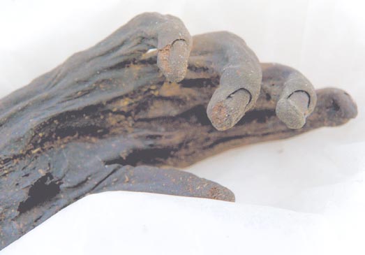 Falo Hohle Fels Swabian Jura Alemania Edad Hielo Nicholas Conard Prehistoria Temprana Universidad de Tübingen Neardentales cavernas dinosaurios imagenes fotos links sitios portales photos images sexualidad enantiornithine,archaeopteryx,pterodactilos,plumas,evolucion,Charles Darwin,dinosaurios,Nature,instintos,evoluciones,paleontologia,arqueologia,fosiles,Homo floresiensis,Mike Morwood,Chris Stringer,Nature,Homo sapiens,JRR Tolkien,Mike Morwood,Homo erectus,java,paleontologia,arqueologia,links,Maria Reich,Nazca,lineas,calendario astronomico,Peru,dibujos,astronomia,geometria,Bernd Teichert,mapas,Ana María Cogorno,ovnis,misterios,Cristobal Colon,Hernando,Diego,catedral Sevillana,Cartuja Pickman,José Antonio Lorente,Granada,ADN;restos,Marcial Castro,antropologia,Republica Dominicana,www.egipto.com,Egipto,Keops,piramides,descubrimientos,Aton,Ankh,tumbas,sarcofacos,momias,embalsamamientos,Kefren,camaras secretas,Nefertiti,Amenofis,Nilo,inundaciones,Blade Runner,Ridley Scott, Richard Dawkins,Steven Pinker,Harrison Ford,Stephen Minger,Stanley Kubrick,Daryl Hanna,replicantes,androides,ciencia ficcion,Contactos,SHGb02+14a,proyecto SETI,Search for Extra Terrestial Intelligence,SETI@home,Robert Zemeckis,Jodie Foster,Dan Wertheimer,New Scientist,Arecibo,Puerto Rico,civilizaciones extraterrestres,Ma liberté de penser,Florent Pagny,Argentina,France,Patagonia,Argentine,Azucena Caamaño,Savoir aimer,artistes,musique,musica,CD,cantores,ventas,compras,ranking,Paparazzi,Isabel Sartorius,Borbon,Ortiz Patiño,Vallejo Najera,Entrecanales,Mora Figueroa,Antonio Montero,Sainz Vicuña,España,jet set,Mallorca,Ibiza,John Fitzgerald Kennedy,Lee Harvey Oswald,Vitaliy Fadeyev,Lawrence Berkeley,Carl Haber,Fidel Castro,Lyndon B. Johnson,Jackie,Onassis,Irma Roy,Carolina Papaleo,Osvaldo,diputada nacional,Congreso,Argentina,Raul Granillo Ocampo,politica,justicialismo,peronismo,cine,television,La Horqueta,San Isidro,que se vayan todos,diciembre 2001,2002,2003,2004,maria julia alsogaray,alvaros,,Roberto Martínez Medina,Maria Julia Alsogaray,Raúl Granillo Ocampo,Jorge Rodríguez,Víctor Alderete,Claudia Bello,Angel Massa,Alfredo Yabran,Mario Pontaquarto,Nestor Carlos Kirchner,Cristina Elizabeth Fernandez,corrupcion,senado,general rodriguez,anibal,fernandez,alberto,fernando de la rua,ines pertine,eduardo duhalde,hilda chiche gonzalez,2000,2001,2002,2003,2004,Museos,www.louvre.fr,Leonardo Da Vinci,Gioconda,Mona Lisa,Italia,Francia,France,inventos,Italy,renacimiento,historia,cuadros,links,images,postcards,photos,fotos,imagenes,postales,pictures,historia,arqueologia,descubrimientos,culturales,agenda,infodiario,diario accion,buenos aires,argentina,Diario Accion de General Rodriguez, politica, actualidad, noticias e informacion, personalidades e instituciones, policiales, galerias de fotos; historia de General Rodriguez, sus origenes, edificios, estancias, habitos y costumbres, anecdotas, comercios e industrias, los fundadores, antiguas instituciones, fotos e imagenes; suplementos especiales: la crisis politica, economica y social de la Argentina, los acontecimientos de Diciembre de 2001, articulos y entrevistas; Emigracion: toda la informacion destinada a aquellos que desean emigrar, radicarse o estudiar en el exterior, visas, pasaportes, consejos, guias, informacion util, links; Trueque: novedades e informacion, links, estructura del trueque; el casamiento de Maxima Zorreguieta y el principe Guillermo Alejandro de Holanda; Guerra de Afganistan: galeria de imagenes e informacion sobre la primera guerra del siglo XXI; la guerra de Irak, Bagdad, Georges W. Bush, Saddam Husseim, el atentado a las torres Gemelas de Nueva York, las twin towers, el 11-s, y descripcion del hecho que conmovio al mundo; Empleo: consultoras, clasificados, agencias de empleo, consejos e informacion util, curriculum vitae, como confeccionarlos, noticias de actualidad; 
Los numeros de la crisis: Las consecuencias de la crisis politica, economica y social; estadisticas, pobreza, desnutricion, salud y asistencia; noticias regionales y provinciales, columnas y editoriales; informacion para negocios: pymes, links, empresas y negocios; Agenda Cultural con toda la informacion de cursos, universidades, talleres, escuelas y oportunidades, exposiciones de arte de la region; buscadores en Internet, Enlaces: links a los mejores sitios de educacion, cultura, arte, biografias, politica, interes general, web, Links del Diario Accion: RMS Titanic, su historia, su tragico viaje inaugural; historias, testimonios, documentos y articulos sobre el naufragio; links y sitios sobre el tema; la pelicula de Cameron, fotos e imagenes; suplementos especiales, Historia Argentina y de General Rodriguez, la llegada de la democracia en General Rodriguez, la asuncion de Juan Lumbreras como intendente en 1983, galeria de imagenes, sus palabras y los actos, su gabinete, festejos de la comunidad. Fundacion del pueblo de General Rodriguez, sus instituciones y personalidades relevantes, arquitectura y edificios, comercios e industrias, sus comienzos, estancias, inmigraciones italianas, españolas, vascas e irlandesas, anecdotas y efemerides, sus hombres ilustres, el Hospital Vicente Lopez y Planes, su fundacion por las Damas de Beneficencia, el hundimiento del crucero General Belgrano, testimonios de ex combatientes y tripulantes, su comandante Hector Elias Bonzo, fotos e imagenes, recuerdos y homenajes, historia de la familia Bonzo de General Rodriguez, entrevistas y articulos periodisticos. La guerra de Malvinas en el Atlantico Sur, el conflicto belico con Gran Bretaña de 1982, politicos relevantes, Benjamin Paez y Trueba, fotos antiguas de familias fundadoras, galerias de imagenes de pobladores, recorrida virtual por el antiguo General Rodriguez, el paso de la Infanta en 1910, historia de La Serenisima, la familia Mastellone, La Choza, Bernardo de Irigoyen, peronismo y radicalismo y muchisimo mas