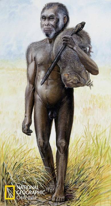 Homo floresiensis,Mike Morwood,Chris Stringer,Nature,Homo sapiens,JRR Tolkien,Mike Morwood,Homo erectus,java,paleontologia,arqueologia,links,Maria Reich,Nazca,lineas,calendario astronomico,Peru,dibujos,astronomia,geometria,Bernd Teichert,mapas,Ana María Cogorno,ovnis,misterios,Cristobal Colon,Hernando,Diego,catedral Sevillana,Cartuja Pickman,José Antonio Lorente,Granada,ADN;restos,Marcial Castro,antropologia,Republica Dominicana,www.egipto.com,Egipto,Keops,piramides,descubrimientos,Aton,Ankh,tumbas,sarcofacos,momias,embalsamamientos,Kefren,camaras secretas,Nefertiti,Amenofis,Nilo,inundaciones,Blade Runner,Ridley Scott, Richard Dawkins,Steven Pinker,Harrison Ford,Stephen Minger,Stanley Kubrick,Daryl Hanna,replicantes,androides,ciencia ficcion,Contactos,SHGb02+14a,proyecto SETI,Search for Extra Terrestial Intelligence,SETI@home,Robert Zemeckis,Jodie Foster,Dan Wertheimer,New Scientist,Arecibo,Puerto Rico,civilizaciones extraterrestres,Ma liberté de penser,Florent Pagny,Argentina,France,Patagonia,Argentine,Azucena Caamaño,Savoir aimer,artistes,musique,musica,CD,cantores,ventas,compras,ranking,Paparazzi,Isabel Sartorius,Borbon,Ortiz Patiño,Vallejo Najera,Entrecanales,Mora Figueroa,Antonio Montero,Sainz Vicuña,España,jet set,Mallorca,Ibiza,John Fitzgerald Kennedy,Lee Harvey Oswald,Vitaliy Fadeyev,Lawrence Berkeley,Carl Haber,Fidel Castro,Lyndon B. Johnson,Jackie,Onassis,Irma Roy,Carolina Papaleo,Osvaldo,diputada nacional,Congreso,Argentina,Raul Granillo Ocampo,politica,justicialismo,peronismo,cine,television,La Horqueta,San Isidro,que se vayan todos,diciembre 2001,2002,2003,2004,maria julia alsogaray,alvaros,,Roberto Martínez Medina,Maria Julia Alsogaray,Raúl Granillo Ocampo,Jorge Rodríguez,Víctor Alderete,Claudia Bello,Angel Massa,Alfredo Yabran,Mario Pontaquarto,Nestor Carlos Kirchner,Cristina Elizabeth Fernandez,corrupcion,senado,general rodriguez,anibal,fernandez,alberto,fernando de la rua,ines pertine,eduardo duhalde,hilda chiche gonzalez,2000,2001,2002,2003,2004,Museos,www.louvre.fr,Leonardo Da Vinci,Gioconda,Mona Lisa,Italia,Francia,France,inventos,Italy,renacimiento,historia,cuadros,links,images,postcards,photos,fotos,imagenes,postales,pictures,historia,arqueologia,descubrimientos,culturales,agenda,infodiario,diario accion,buenos aires,argentina,Diario Accion de General Rodriguez, politica, actualidad, noticias e informacion, personalidades e instituciones, policiales, galerias de fotos; historia de General Rodriguez, sus origenes, edificios, estancias, habitos y costumbres, anecdotas, comercios e industrias, los fundadores, antiguas instituciones, fotos e imagenes; suplementos especiales: la crisis politica, economica y social de la Argentina, los acontecimientos de Diciembre de 2001, articulos y entrevistas; Emigracion: toda la informacion destinada a aquellos que desean emigrar, radicarse o estudiar en el exterior, visas, pasaportes, consejos, guias, informacion util, links; Trueque: novedades e informacion, links, estructura del trueque; el casamiento de Maxima Zorreguieta y el principe Guillermo Alejandro de Holanda; Guerra de Afganistan: galeria de imagenes e informacion sobre la primera guerra del siglo XXI; la guerra de Irak, Bagdad, Georges W. Bush, Saddam Husseim, el atentado a las torres Gemelas de Nueva York, las twin towers, el 11-s, y descripcion del hecho que conmovio al mundo; Empleo: consultoras, clasificados, agencias de empleo, consejos e informacion util, curriculum vitae, como confeccionarlos, noticias de actualidad; 
Los numeros de la crisis: Las consecuencias de la crisis politica, economica y social; estadisticas, pobreza, desnutricion, salud y asistencia; noticias regionales y provinciales, columnas y editoriales; informacion para negocios: pymes, links, empresas y negocios; Agenda Cultural con toda la informacion de cursos, universidades, talleres, escuelas y oportunidades, exposiciones de arte de la region; buscadores en Internet, Enlaces: links a los mejores sitios de educacion, cultura, arte, biografias, politica, interes general, web, Links del Diario Accion: RMS Titanic, su historia, su tragico viaje inaugural; historias, testimonios, documentos y articulos sobre el naufragio; links y sitios sobre el tema; la pelicula de Cameron, fotos e imagenes; suplementos especiales, Historia Argentina y de General Rodriguez, la llegada de la democracia en General Rodriguez, la asuncion de Juan Lumbreras como intendente en 1983, galeria de imagenes, sus palabras y los actos, su gabinete, festejos de la comunidad. Fundacion del pueblo de General Rodriguez, sus instituciones y personalidades relevantes, arquitectura y edificios, comercios e industrias, sus comienzos, estancias, inmigraciones italianas, españolas, vascas e irlandesas, anecdotas y efemerides, sus hombres ilustres, el Hospital Vicente Lopez y Planes, su fundacion por las Damas de Beneficencia, el hundimiento del crucero General Belgrano, testimonios de ex combatientes y tripulantes, su comandante Hector Elias Bonzo, fotos e imagenes, recuerdos y homenajes, historia de la familia Bonzo de General Rodriguez, entrevistas y articulos periodisticos. La guerra de Malvinas en el Atlantico Sur, el conflicto belico con Gran Bretaña de 1982, politicos relevantes, Benjamin Paez y Trueba, fotos antiguas de familias fundadoras, galerias de imagenes de pobladores, recorrida virtual por el antiguo General Rodriguez, el paso de la Infanta en 1910, historia de La Serenisima, la familia Mastellone, La Choza, Bernardo de Irigoyen, peronismo y radicalismo y muchisimo mas