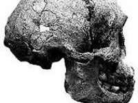 enantiornithine,archaeopteryx,pterodactilos,plumas,evolucion,Charles Darwin,dinosaurios,Nature,instintos,evoluciones,paleontologia,arqueologia,fosiles,Homo floresiensis,Mike Morwood,Chris Stringer,Nature,Homo sapiens,JRR Tolkien,Mike Morwood,Homo erectus,java,paleontologia,arqueologia,links,Maria Reich,Nazca,lineas,calendario astronomico,Peru,dibujos,astronomia,geometria,Bernd Teichert,mapas,Ana María Cogorno,ovnis,misterios,Cristobal Colon,Hernando,Diego,catedral Sevillana,Cartuja Pickman,José Antonio Lorente,Granada,ADN;restos,Marcial Castro,antropologia,Republica Dominicana,www.egipto.com,Egipto,Keops,piramides,descubrimientos,Aton,Ankh,tumbas,sarcofacos,momias,embalsamamientos,Kefren,camaras secretas,Nefertiti,Amenofis,Nilo,inundaciones,Blade Runner,Ridley Scott, Richard Dawkins,Steven Pinker,Harrison Ford,Stephen Minger,Stanley Kubrick,Daryl Hanna,replicantes,androides,ciencia ficcion,Contactos,SHGb02+14a,proyecto SETI,Search for Extra Terrestial Intelligence,SETI@home,Robert Zemeckis,Jodie Foster,Dan Wertheimer,New Scientist,Arecibo,Puerto Rico,civilizaciones extraterrestres,Ma liberté de penser,Florent Pagny,Argentina,France,Patagonia,Argentine,Azucena Caamaño,Savoir aimer,artistes,musique,musica,CD,cantores,ventas,compras,ranking,Paparazzi,Isabel Sartorius,Borbon,Ortiz Patiño,Vallejo Najera,Entrecanales,Mora Figueroa,Antonio Montero,Sainz Vicuña,España,jet set,Mallorca,Ibiza,John Fitzgerald Kennedy,Lee Harvey Oswald,Vitaliy Fadeyev,Lawrence Berkeley,Carl Haber,Fidel Castro,Lyndon B. Johnson,Jackie,Onassis,Irma Roy,Carolina Papaleo,Osvaldo,diputada nacional,Congreso,Argentina,Raul Granillo Ocampo,politica,justicialismo,peronismo,cine,television,La Horqueta,San Isidro,que se vayan todos,diciembre 2001,2002,2003,2004,maria julia alsogaray,alvaros,,Roberto Martínez Medina,Maria Julia Alsogaray,Raúl Granillo Ocampo,Jorge Rodríguez,Víctor Alderete,Claudia Bello,Angel Massa,Alfredo Yabran,Mario Pontaquarto,Nestor Carlos Kirchner,Cristina Elizabeth Fernandez,corrupcion,senado,general rodriguez,anibal,fernandez,alberto,fernando de la rua,ines pertine,eduardo duhalde,hilda chiche gonzalez,2000,2001,2002,2003,2004,Museos,www.louvre.fr,Leonardo Da Vinci,Gioconda,Mona Lisa,Italia,Francia,France,inventos,Italy,renacimiento,historia,cuadros,links,images,postcards,photos,fotos,imagenes,postales,pictures,historia,arqueologia,descubrimientos,culturales,agenda,infodiario,diario accion,buenos aires,argentina,Diario Accion de General Rodriguez, politica, actualidad, noticias e informacion, personalidades e instituciones, policiales, galerias de fotos; historia de General Rodriguez, sus origenes, edificios, estancias, habitos y costumbres, anecdotas, comercios e industrias, los fundadores, antiguas instituciones, fotos e imagenes; suplementos especiales: la crisis politica, economica y social de la Argentina, los acontecimientos de Diciembre de 2001, articulos y entrevistas; Emigracion: toda la informacion destinada a aquellos que desean emigrar, radicarse o estudiar en el exterior, visas, pasaportes, consejos, guias, informacion util, links; Trueque: novedades e informacion, links, estructura del trueque; el casamiento de Maxima Zorreguieta y el principe Guillermo Alejandro de Holanda; Guerra de Afganistan: galeria de imagenes e informacion sobre la primera guerra del siglo XXI; la guerra de Irak, Bagdad, Georges W. Bush, Saddam Husseim, el atentado a las torres Gemelas de Nueva York, las twin towers, el 11-s, y descripcion del hecho que conmovio al mundo; Empleo: consultoras, clasificados, agencias de empleo, consejos e informacion util, curriculum vitae, como confeccionarlos, noticias de actualidad; 
Los numeros de la crisis: Las consecuencias de la crisis politica, economica y social; estadisticas, pobreza, desnutricion, salud y asistencia; noticias regionales y provinciales, columnas y editoriales; informacion para negocios: pymes, links, empresas y negocios; Agenda Cultural con toda la informacion de cursos, universidades, talleres, escuelas y oportunidades, exposiciones de arte de la region; buscadores en Internet, Enlaces: links a los mejores sitios de educacion, cultura, arte, biografias, politica, interes general, web, Links del Diario Accion: RMS Titanic, su historia, su tragico viaje inaugural; historias, testimonios, documentos y articulos sobre el naufragio; links y sitios sobre el tema; la pelicula de Cameron, fotos e imagenes; suplementos especiales, Historia Argentina y de General Rodriguez, la llegada de la democracia en General Rodriguez, la asuncion de Juan Lumbreras como intendente en 1983, galeria de imagenes, sus palabras y los actos, su gabinete, festejos de la comunidad. Fundacion del pueblo de General Rodriguez, sus instituciones y personalidades relevantes, arquitectura y edificios, comercios e industrias, sus comienzos, estancias, inmigraciones italianas, españolas, vascas e irlandesas, anecdotas y efemerides, sus hombres ilustres, el Hospital Vicente Lopez y Planes, su fundacion por las Damas de Beneficencia, el hundimiento del crucero General Belgrano, testimonios de ex combatientes y tripulantes, su comandante Hector Elias Bonzo, fotos e imagenes, recuerdos y homenajes, historia de la familia Bonzo de General Rodriguez, entrevistas y articulos periodisticos. La guerra de Malvinas en el Atlantico Sur, el conflicto belico con Gran Bretaña de 1982, politicos relevantes, Benjamin Paez y Trueba, fotos antiguas de familias fundadoras, galerias de imagenes de pobladores, recorrida virtual por el antiguo General Rodriguez, el paso de la Infanta en 1910, historia de La Serenisima, la familia Mastellone, La Choza, Bernardo de Irigoyen, peronismo y radicalismo y muchisimo mas