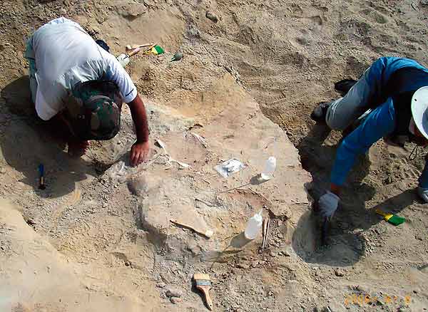 Falo Hohle Fels Swabian Jura Alemania Edad Hielo Nicholas Conard Prehistoria Temprana Universidad de Tübingen Neardentales cavernas dinosaurios imagenes fotos links sitios portales photos images sexualidad enantiornithine,archaeopteryx,pterodactilos,plumas,evolucion,Charles Darwin,dinosaurios,Nature,instintos,evoluciones,paleontologia,arqueologia,fosiles,Homo floresiensis,Mike Morwood,Chris Stringer,Nature,Homo sapiens,JRR Tolkien,Mike Morwood,Homo erectus,java,paleontologia,arqueologia,links,Maria Reich,Nazca,lineas,calendario astronomico,Peru,dibujos,astronomia,geometria,Bernd Teichert,mapas,Ana María Cogorno,ovnis,misterios,Cristobal Colon,Hernando,Diego,catedral Sevillana,Cartuja Pickman,José Antonio Lorente,Granada,ADN;restos,Marcial Castro,antropologia,Republica Dominicana,www.egipto.com,Egipto,Keops,piramides,descubrimientos,Aton,Ankh,tumbas,sarcofacos,momias,embalsamamientos,Kefren,camaras secretas,Nefertiti,Amenofis,Nilo,inundaciones,Blade Runner,Ridley Scott, Richard Dawkins,Steven Pinker,Harrison Ford,Stephen Minger,Stanley Kubrick,Daryl Hanna,replicantes,androides,ciencia ficcion,Contactos,SHGb02+14a,proyecto SETI,Search for Extra Terrestial Intelligence,SETI@home,Robert Zemeckis,Jodie Foster,Dan Wertheimer,New Scientist,Arecibo,Puerto Rico,civilizaciones extraterrestres,Ma liberté de penser,Florent Pagny,Argentina,France,Patagonia,Argentine,Azucena Caamaño,Savoir aimer,artistes,musique,musica,CD,cantores,ventas,compras,ranking,Paparazzi,Isabel Sartorius,Borbon,Ortiz Patiño,Vallejo Najera,Entrecanales,Mora Figueroa,Antonio Montero,Sainz Vicuña,España,jet set,Mallorca,Ibiza,John Fitzgerald Kennedy,Lee Harvey Oswald,Vitaliy Fadeyev,Lawrence Berkeley,Carl Haber,Fidel Castro,Lyndon B. Johnson,Jackie,Onassis,Irma Roy,Carolina Papaleo,Osvaldo,diputada nacional,Congreso,Argentina,Raul Granillo Ocampo,politica,justicialismo,peronismo,cine,television,La Horqueta,San Isidro,que se vayan todos,diciembre 2001,2002,2003,2004,maria julia alsogaray,alvaros,,Roberto Martínez Medina,Maria Julia Alsogaray,Raúl Granillo Ocampo,Jorge Rodríguez,Víctor Alderete,Claudia Bello,Angel Massa,Alfredo Yabran,Mario Pontaquarto,Nestor Carlos Kirchner,Cristina Elizabeth Fernandez,corrupcion,senado,general rodriguez,anibal,fernandez,alberto,fernando de la rua,ines pertine,eduardo duhalde,hilda chiche gonzalez,2000,2001,2002,2003,2004,Museos,www.louvre.fr,Leonardo Da Vinci,Gioconda,Mona Lisa,Italia,Francia,France,inventos,Italy,renacimiento,historia,cuadros,links,images,postcards,photos,fotos,imagenes,postales,pictures,historia,arqueologia,descubrimientos,culturales,agenda,infodiario,diario accion,buenos aires,argentina,Diario Accion de General Rodriguez, politica, actualidad, noticias e informacion, personalidades e instituciones, policiales, galerias de fotos; historia de General Rodriguez, sus origenes, edificios, estancias, habitos y costumbres, anecdotas, comercios e industrias, los fundadores, antiguas instituciones, fotos e imagenes; suplementos especiales: la crisis politica, economica y social de la Argentina, los acontecimientos de Diciembre de 2001, articulos y entrevistas; Emigracion: toda la informacion destinada a aquellos que desean emigrar, radicarse o estudiar en el exterior, visas, pasaportes, consejos, guias, informacion util, links; Trueque: novedades e informacion, links, estructura del trueque; el casamiento de Maxima Zorreguieta y el principe Guillermo Alejandro de Holanda; Guerra de Afganistan: galeria de imagenes e informacion sobre la primera guerra del siglo XXI; la guerra de Irak, Bagdad, Georges W. Bush, Saddam Husseim, el atentado a las torres Gemelas de Nueva York, las twin towers, el 11-s, y descripcion del hecho que conmovio al mundo; Empleo: consultoras, clasificados, agencias de empleo, consejos e informacion util, curriculum vitae, como confeccionarlos, noticias de actualidad; 
Los numeros de la crisis: Las consecuencias de la crisis politica, economica y social; estadisticas, pobreza, desnutricion, salud y asistencia; noticias regionales y provinciales, columnas y editoriales; informacion para negocios: pymes, links, empresas y negocios; Agenda Cultural con toda la informacion de cursos, universidades, talleres, escuelas y oportunidades, exposiciones de arte de la region; buscadores en Internet, Enlaces: links a los mejores sitios de educacion, cultura, arte, biografias, politica, interes general, web, Links del Diario Accion: RMS Titanic, su historia, su tragico viaje inaugural; historias, testimonios, documentos y articulos sobre el naufragio; links y sitios sobre el tema; la pelicula de Cameron, fotos e imagenes; suplementos especiales, Historia Argentina y de General Rodriguez, la llegada de la democracia en General Rodriguez, la asuncion de Juan Lumbreras como intendente en 1983, galeria de imagenes, sus palabras y los actos, su gabinete, festejos de la comunidad. Fundacion del pueblo de General Rodriguez, sus instituciones y personalidades relevantes, arquitectura y edificios, comercios e industrias, sus comienzos, estancias, inmigraciones italianas, españolas, vascas e irlandesas, anecdotas y efemerides, sus hombres ilustres, el Hospital Vicente Lopez y Planes, su fundacion por las Damas de Beneficencia, el hundimiento del crucero General Belgrano, testimonios de ex combatientes y tripulantes, su comandante Hector Elias Bonzo, fotos e imagenes, recuerdos y homenajes, historia de la familia Bonzo de General Rodriguez, entrevistas y articulos periodisticos. La guerra de Malvinas en el Atlantico Sur, el conflicto belico con Gran Bretaña de 1982, politicos relevantes, Benjamin Paez y Trueba, fotos antiguas de familias fundadoras, galerias de imagenes de pobladores, recorrida virtual por el antiguo General Rodriguez, el paso de la Infanta en 1910, historia de La Serenisima, la familia Mastellone, La Choza, Bernardo de Irigoyen, peronismo y radicalismo y muchisimo mas