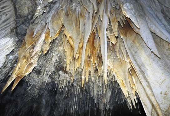 Falo Hohle Fels Swabian Jura Alemania Edad Hielo Nicholas Conard Prehistoria Temprana Universidad de Tübingen Neardentales cavernas dinosaurios imagenes fotos links sitios portales photos images sexualidad enantiornithine,archaeopteryx,pterodactilos,plumas,evolucion,Charles Darwin,dinosaurios,Nature,instintos,evoluciones,paleontologia,arqueologia,fosiles,Homo floresiensis,Mike Morwood,Chris Stringer,Nature,Homo sapiens,JRR Tolkien,Mike Morwood,Homo erectus,java,paleontologia,arqueologia,links,Maria Reich,Nazca,lineas,calendario astronomico,Peru,dibujos,astronomia,geometria,Bernd Teichert,mapas,Ana María Cogorno,ovnis,misterios,Cristobal Colon,Hernando,Diego,catedral Sevillana,Cartuja Pickman,José Antonio Lorente,Granada,ADN;restos,Marcial Castro,antropologia,Republica Dominicana,www.egipto.com,Egipto,Keops,piramides,descubrimientos,Aton,Ankh,tumbas,sarcofacos,momias,embalsamamientos,Kefren,camaras secretas,Nefertiti,Amenofis,Nilo,inundaciones,Blade Runner,Ridley Scott, Richard Dawkins,Steven Pinker,Harrison Ford,Stephen Minger,Stanley Kubrick,Daryl Hanna,replicantes,androides,ciencia ficcion,Contactos,SHGb02+14a,proyecto SETI,Search for Extra Terrestial Intelligence,SETI@home,Robert Zemeckis,Jodie Foster,Dan Wertheimer,New Scientist,Arecibo,Puerto Rico,civilizaciones extraterrestres,Ma liberté de penser,Florent Pagny,Argentina,France,Patagonia,Argentine,Azucena Caamaño,Savoir aimer,artistes,musique,musica,CD,cantores,ventas,compras,ranking,Paparazzi,Isabel Sartorius,Borbon,Ortiz Patiño,Vallejo Najera,Entrecanales,Mora Figueroa,Antonio Montero,Sainz Vicuña,España,jet set,Mallorca,Ibiza,John Fitzgerald Kennedy,Lee Harvey Oswald,Vitaliy Fadeyev,Lawrence Berkeley,Carl Haber,Fidel Castro,Lyndon B. Johnson,Jackie,Onassis,Irma Roy,Carolina Papaleo,Osvaldo,diputada nacional,Congreso,Argentina,Raul Granillo Ocampo,politica,justicialismo,peronismo,cine,television,La Horqueta,San Isidro,que se vayan todos,diciembre 2001,2002,2003,2004,maria julia alsogaray,alvaros,,Roberto Martínez Medina,Maria Julia Alsogaray,Raúl Granillo Ocampo,Jorge Rodríguez,Víctor Alderete,Claudia Bello,Angel Massa,Alfredo Yabran,Mario Pontaquarto,Nestor Carlos Kirchner,Cristina Elizabeth Fernandez,corrupcion,senado,general rodriguez,anibal,fernandez,alberto,fernando de la rua,ines pertine,eduardo duhalde,hilda chiche gonzalez,2000,2001,2002,2003,2004,Museos,www.louvre.fr,Leonardo Da Vinci,Gioconda,Mona Lisa,Italia,Francia,France,inventos,Italy,renacimiento,historia,cuadros,links,images,postcards,photos,fotos,imagenes,postales,pictures,historia,arqueologia,descubrimientos,culturales,agenda,infodiario,diario accion,buenos aires,argentina,Diario Accion de General Rodriguez, politica, actualidad, noticias e informacion, personalidades e instituciones, policiales, galerias de fotos; historia de General Rodriguez, sus origenes, edificios, estancias, habitos y costumbres, anecdotas, comercios e industrias, los fundadores, antiguas instituciones, fotos e imagenes; suplementos especiales: la crisis politica, economica y social de la Argentina, los acontecimientos de Diciembre de 2001, articulos y entrevistas; Emigracion: toda la informacion destinada a aquellos que desean emigrar, radicarse o estudiar en el exterior, visas, pasaportes, consejos, guias, informacion util, links; Trueque: novedades e informacion, links, estructura del trueque; el casamiento de Maxima Zorreguieta y el principe Guillermo Alejandro de Holanda; Guerra de Afganistan: galeria de imagenes e informacion sobre la primera guerra del siglo XXI; la guerra de Irak, Bagdad, Georges W. Bush, Saddam Husseim, el atentado a las torres Gemelas de Nueva York, las twin towers, el 11-s, y descripcion del hecho que conmovio al mundo; Empleo: consultoras, clasificados, agencias de empleo, consejos e informacion util, curriculum vitae, como confeccionarlos, noticias de actualidad; 
Los numeros de la crisis: Las consecuencias de la crisis politica, economica y social; estadisticas, pobreza, desnutricion, salud y asistencia; noticias regionales y provinciales, columnas y editoriales; informacion para negocios: pymes, links, empresas y negocios; Agenda Cultural con toda la informacion de cursos, universidades, talleres, escuelas y oportunidades, exposiciones de arte de la region; buscadores en Internet, Enlaces: links a los mejores sitios de educacion, cultura, arte, biografias, politica, interes general, web, Links del Diario Accion: RMS Titanic, su historia, su tragico viaje inaugural; historias, testimonios, documentos y articulos sobre el naufragio; links y sitios sobre el tema; la pelicula de Cameron, fotos e imagenes; suplementos especiales, Historia Argentina y de General Rodriguez, la llegada de la democracia en General Rodriguez, la asuncion de Juan Lumbreras como intendente en 1983, galeria de imagenes, sus palabras y los actos, su gabinete, festejos de la comunidad. Fundacion del pueblo de General Rodriguez, sus instituciones y personalidades relevantes, arquitectura y edificios, comercios e industrias, sus comienzos, estancias, inmigraciones italianas, españolas, vascas e irlandesas, anecdotas y efemerides, sus hombres ilustres, el Hospital Vicente Lopez y Planes, su fundacion por las Damas de Beneficencia, el hundimiento del crucero General Belgrano, testimonios de ex combatientes y tripulantes, su comandante Hector Elias Bonzo, fotos e imagenes, recuerdos y homenajes, historia de la familia Bonzo de General Rodriguez, entrevistas y articulos periodisticos. La guerra de Malvinas en el Atlantico Sur, el conflicto belico con Gran Bretaña de 1982, politicos relevantes, Benjamin Paez y Trueba, fotos antiguas de familias fundadoras, galerias de imagenes de pobladores, recorrida virtual por el antiguo General Rodriguez, el paso de la Infanta en 1910, historia de La Serenisima, la familia Mastellone, La Choza, Bernardo de Irigoyen, peronismo y radicalismo y muchisimo mas
