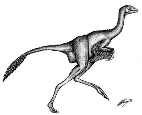 enantiornithine,archaeopteryx,pterodactilos,plumas,evolucion,Charles Darwin,dinosaurios,Nature,instintos,evoluciones,paleontologia,arqueologia,fosiles,Homo floresiensis,Mike Morwood,Chris Stringer,Nature,Homo sapiens,JRR Tolkien,Mike Morwood,Homo erectus,java,paleontologia,arqueologia,links,Maria Reich,Nazca,lineas,calendario astronomico,Peru,dibujos,astronomia,geometria,Bernd Teichert,mapas,Ana María Cogorno,ovnis,misterios,Cristobal Colon,Hernando,Diego,catedral Sevillana,Cartuja Pickman,José Antonio Lorente,Granada,ADN;restos,Marcial Castro,antropologia,Republica Dominicana,www.egipto.com,Egipto,Keops,piramides,descubrimientos,Aton,Ankh,tumbas,sarcofacos,momias,embalsamamientos,Kefren,camaras secretas,Nefertiti,Amenofis,Nilo,inundaciones,Blade Runner,Ridley Scott, Richard Dawkins,Steven Pinker,Harrison Ford,Stephen Minger,Stanley Kubrick,Daryl Hanna,replicantes,androides,ciencia ficcion,Contactos,SHGb02+14a,proyecto SETI,Search for Extra Terrestial Intelligence,SETI@home,Robert Zemeckis,Jodie Foster,Dan Wertheimer,New Scientist,Arecibo,Puerto Rico,civilizaciones extraterrestres,Ma liberté de penser,Florent Pagny,Argentina,France,Patagonia,Argentine,Azucena Caamaño,Savoir aimer,artistes,musique,musica,CD,cantores,ventas,compras,ranking,Paparazzi,Isabel Sartorius,Borbon,Ortiz Patiño,Vallejo Najera,Entrecanales,Mora Figueroa,Antonio Montero,Sainz Vicuña,España,jet set,Mallorca,Ibiza,John Fitzgerald Kennedy,Lee Harvey Oswald,Vitaliy Fadeyev,Lawrence Berkeley,Carl Haber,Fidel Castro,Lyndon B. Johnson,Jackie,Onassis,Irma Roy,Carolina Papaleo,Osvaldo,diputada nacional,Congreso,Argentina,Raul Granillo Ocampo,politica,justicialismo,peronismo,cine,television,La Horqueta,San Isidro,que se vayan todos,diciembre 2001,2002,2003,2004,maria julia alsogaray,alvaros,,Roberto Martínez Medina,Maria Julia Alsogaray,Raúl Granillo Ocampo,Jorge Rodríguez,Víctor Alderete,Claudia Bello,Angel Massa,Alfredo Yabran,Mario Pontaquarto,Nestor Carlos Kirchner,Cristina Elizabeth Fernandez,corrupcion,senado,general rodriguez,anibal,fernandez,alberto,fernando de la rua,ines pertine,eduardo duhalde,hilda chiche gonzalez,2000,2001,2002,2003,2004,Museos,www.louvre.fr,Leonardo Da Vinci,Gioconda,Mona Lisa,Italia,Francia,France,inventos,Italy,renacimiento,historia,cuadros,links,images,postcards,photos,fotos,imagenes,postales,pictures,historia,arqueologia,descubrimientos,culturales,agenda,infodiario,diario accion,buenos aires,argentina,Diario Accion de General Rodriguez, politica, actualidad, noticias e informacion, personalidades e instituciones, policiales, galerias de fotos; historia de General Rodriguez, sus origenes, edificios, estancias, habitos y costumbres, anecdotas, comercios e industrias, los fundadores, antiguas instituciones, fotos e imagenes; suplementos especiales: la crisis politica, economica y social de la Argentina, los acontecimientos de Diciembre de 2001, articulos y entrevistas; Emigracion: toda la informacion destinada a aquellos que desean emigrar, radicarse o estudiar en el exterior, visas, pasaportes, consejos, guias, informacion util, links; Trueque: novedades e informacion, links, estructura del trueque; el casamiento de Maxima Zorreguieta y el principe Guillermo Alejandro de Holanda; Guerra de Afganistan: galeria de imagenes e informacion sobre la primera guerra del siglo XXI; la guerra de Irak, Bagdad, Georges W. Bush, Saddam Husseim, el atentado a las torres Gemelas de Nueva York, las twin towers, el 11-s, y descripcion del hecho que conmovio al mundo; Empleo: consultoras, clasificados, agencias de empleo, consejos e informacion util, curriculum vitae, como confeccionarlos, noticias de actualidad; 
Los numeros de la crisis: Las consecuencias de la crisis politica, economica y social; estadisticas, pobreza, desnutricion, salud y asistencia; noticias regionales y provinciales, columnas y editoriales; informacion para negocios: pymes, links, empresas y negocios; Agenda Cultural con toda la informacion de cursos, universidades, talleres, escuelas y oportunidades, exposiciones de arte de la region; buscadores en Internet, Enlaces: links a los mejores sitios de educacion, cultura, arte, biografias, politica, interes general, web, Links del Diario Accion: RMS Titanic, su historia, su tragico viaje inaugural; historias, testimonios, documentos y articulos sobre el naufragio; links y sitios sobre el tema; la pelicula de Cameron, fotos e imagenes; suplementos especiales, Historia Argentina y de General Rodriguez, la llegada de la democracia en General Rodriguez, la asuncion de Juan Lumbreras como intendente en 1983, galeria de imagenes, sus palabras y los actos, su gabinete, festejos de la comunidad. Fundacion del pueblo de General Rodriguez, sus instituciones y personalidades relevantes, arquitectura y edificios, comercios e industrias, sus comienzos, estancias, inmigraciones italianas, españolas, vascas e irlandesas, anecdotas y efemerides, sus hombres ilustres, el Hospital Vicente Lopez y Planes, su fundacion por las Damas de Beneficencia, el hundimiento del crucero General Belgrano, testimonios de ex combatientes y tripulantes, su comandante Hector Elias Bonzo, fotos e imagenes, recuerdos y homenajes, historia de la familia Bonzo de General Rodriguez, entrevistas y articulos periodisticos. La guerra de Malvinas en el Atlantico Sur, el conflicto belico con Gran Bretaña de 1982, politicos relevantes, Benjamin Paez y Trueba, fotos antiguas de familias fundadoras, galerias de imagenes de pobladores, recorrida virtual por el antiguo General Rodriguez, el paso de la Infanta en 1910, historia de La Serenisima, la familia Mastellone, La Choza, Bernardo de Irigoyen, peronismo y radicalismo y muchisimo mas