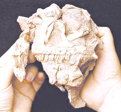 enantiornithine,archaeopteryx,pterodactilos,plumas,evolucion,Charles Darwin,dinosaurios,Nature,instintos,evoluciones,paleontologia,arqueologia,fosiles,Homo floresiensis,Mike Morwood,Chris Stringer,Nature,Homo sapiens,JRR Tolkien,Mike Morwood,Homo erectus,java,paleontologia,arqueologia,links,Maria Reich,Nazca,lineas,calendario astronomico,Peru,dibujos,astronomia,geometria,Bernd Teichert,mapas,Ana María Cogorno,ovnis,misterios,Cristobal Colon,Hernando,Diego,catedral Sevillana,Cartuja Pickman,José Antonio Lorente,Granada,ADN;restos,Marcial Castro,antropologia,Republica Dominicana,www.egipto.com,Egipto,Keops,piramides,descubrimientos,Aton,Ankh,tumbas,sarcofacos,momias,embalsamamientos,Kefren,camaras secretas,Nefertiti,Amenofis,Nilo,inundaciones,Blade Runner,Ridley Scott, Richard Dawkins,Steven Pinker,Harrison Ford,Stephen Minger,Stanley Kubrick,Daryl Hanna,replicantes,androides,ciencia ficcion,Contactos,SHGb02+14a,proyecto SETI,Search for Extra Terrestial Intelligence,SETI@home,Robert Zemeckis,Jodie Foster,Dan Wertheimer,New Scientist,Arecibo,Puerto Rico,civilizaciones extraterrestres,Ma liberté de penser,Florent Pagny,Argentina,France,Patagonia,Argentine,Azucena Caamaño,Savoir aimer,artistes,musique,musica,CD,cantores,ventas,compras,ranking,Paparazzi,Isabel Sartorius,Borbon,Ortiz Patiño,Vallejo Najera,Entrecanales,Mora Figueroa,Antonio Montero,Sainz Vicuña,España,jet set,Mallorca,Ibiza,John Fitzgerald Kennedy,Lee Harvey Oswald,Vitaliy Fadeyev,Lawrence Berkeley,Carl Haber,Fidel Castro,Lyndon B. Johnson,Jackie,Onassis,Irma Roy,Carolina Papaleo,Osvaldo,diputada nacional,Congreso,Argentina,Raul Granillo Ocampo,politica,justicialismo,peronismo,cine,television,La Horqueta,San Isidro,que se vayan todos,diciembre 2001,2002,2003,2004,maria julia alsogaray,alvaros,,Roberto Martínez Medina,Maria Julia Alsogaray,Raúl Granillo Ocampo,Jorge Rodríguez,Víctor Alderete,Claudia Bello,Angel Massa,Alfredo Yabran,Mario Pontaquarto,Nestor Carlos Kirchner,Cristina Elizabeth Fernandez,corrupcion,senado,general rodriguez,anibal,fernandez,alberto,fernando de la rua,ines pertine,eduardo duhalde,hilda chiche gonzalez,2000,2001,2002,2003,2004,Museos,www.louvre.fr,Leonardo Da Vinci,Gioconda,Mona Lisa,Italia,Francia,France,inventos,Italy,renacimiento,historia,cuadros,links,images,postcards,photos,fotos,imagenes,postales,pictures,historia,arqueologia,descubrimientos,culturales,agenda,infodiario,diario accion,buenos aires,argentina,Diario Accion de General Rodriguez, politica, actualidad, noticias e informacion, personalidades e instituciones, policiales, galerias de fotos; historia de General Rodriguez, sus origenes, edificios, estancias, habitos y costumbres, anecdotas, comercios e industrias, los fundadores, antiguas instituciones, fotos e imagenes; suplementos especiales: la crisis politica, economica y social de la Argentina, los acontecimientos de Diciembre de 2001, articulos y entrevistas; Emigracion: toda la informacion destinada a aquellos que desean emigrar, radicarse o estudiar en el exterior, visas, pasaportes, consejos, guias, informacion util, links; Trueque: novedades e informacion, links, estructura del trueque; el casamiento de Maxima Zorreguieta y el principe Guillermo Alejandro de Holanda; Guerra de Afganistan: galeria de imagenes e informacion sobre la primera guerra del siglo XXI; la guerra de Irak, Bagdad, Georges W. Bush, Saddam Husseim, el atentado a las torres Gemelas de Nueva York, las twin towers, el 11-s, y descripcion del hecho que conmovio al mundo; Empleo: consultoras, clasificados, agencias de empleo, consejos e informacion util, curriculum vitae, como confeccionarlos, noticias de actualidad; 
Los numeros de la crisis: Las consecuencias de la crisis politica, economica y social; estadisticas, pobreza, desnutricion, salud y asistencia; noticias regionales y provinciales, columnas y editoriales; informacion para negocios: pymes, links, empresas y negocios; Agenda Cultural con toda la informacion de cursos, universidades, talleres, escuelas y oportunidades, exposiciones de arte de la region; buscadores en Internet, Enlaces: links a los mejores sitios de educacion, cultura, arte, biografias, politica, interes general, web, Links del Diario Accion: RMS Titanic, su historia, su tragico viaje inaugural; historias, testimonios, documentos y articulos sobre el naufragio; links y sitios sobre el tema; la pelicula de Cameron, fotos e imagenes; suplementos especiales, Historia Argentina y de General Rodriguez, la llegada de la democracia en General Rodriguez, la asuncion de Juan Lumbreras como intendente en 1983, galeria de imagenes, sus palabras y los actos, su gabinete, festejos de la comunidad. Fundacion del pueblo de General Rodriguez, sus instituciones y personalidades relevantes, arquitectura y edificios, comercios e industrias, sus comienzos, estancias, inmigraciones italianas, españolas, vascas e irlandesas, anecdotas y efemerides, sus hombres ilustres, el Hospital Vicente Lopez y Planes, su fundacion por las Damas de Beneficencia, el hundimiento del crucero General Belgrano, testimonios de ex combatientes y tripulantes, su comandante Hector Elias Bonzo, fotos e imagenes, recuerdos y homenajes, historia de la familia Bonzo de General Rodriguez, entrevistas y articulos periodisticos. La guerra de Malvinas en el Atlantico Sur, el conflicto belico con Gran Bretaña de 1982, politicos relevantes, Benjamin Paez y Trueba, fotos antiguas de familias fundadoras, galerias de imagenes de pobladores, recorrida virtual por el antiguo General Rodriguez, el paso de la Infanta en 1910, historia de La Serenisima, la familia Mastellone, La Choza, Bernardo de Irigoyen, peronismo y radicalismo y muchisimo mas