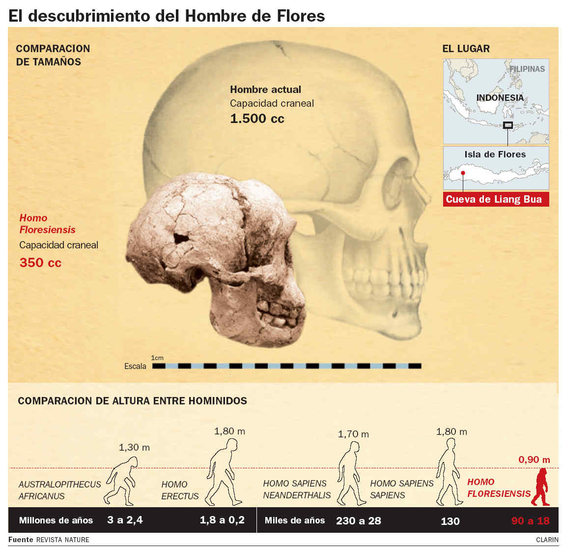 Maria Reich,Nazca,lineas,calendario astronomico,Peru,dibujos,astronomia,geometria,Bernd Teichert,mapas,Ana María Cogorno,ovnis,misterios,Cristobal Colon,Hernando,Diego,catedral Sevillana,Cartuja Pickman,José Antonio Lorente,Granada,ADN;restos,Marcial Castro,antropologia,Republica Dominicana,www.egipto.com,Egipto,Keops,piramides,descubrimientos,Aton,Ankh,tumbas,sarcofacos,momias,embalsamamientos,Kefren,camaras secretas,Nefertiti,Amenofis,Nilo,inundaciones,Blade Runner,Ridley Scott, Richard Dawkins,Steven Pinker,Harrison Ford,Stephen Minger,Stanley Kubrick,Daryl Hanna,replicantes,androides,ciencia ficcion,Contactos,SHGb02+14a,proyecto SETI,Search for Extra Terrestial Intelligence,SETI@home,Robert Zemeckis,Jodie Foster,Dan Wertheimer,New Scientist,Arecibo,Puerto Rico,civilizaciones extraterrestres,Ma liberté de penser,Florent Pagny,Argentina,France,Patagonia,Argentine,Azucena Caamaño,Savoir aimer,artistes,musique,musica,CD,cantores,ventas,compras,ranking,Paparazzi,Isabel Sartorius,Borbon,Ortiz Patiño,Vallejo Najera,Entrecanales,Mora Figueroa,Antonio Montero,Sainz Vicuña,España,jet set,Mallorca,Ibiza,John Fitzgerald Kennedy,Lee Harvey Oswald,Vitaliy Fadeyev,Lawrence Berkeley,Carl Haber,Fidel Castro,Lyndon B. Johnson,Jackie,Onassis,Irma Roy,Carolina Papaleo,Osvaldo,diputada nacional,Congreso,Argentina,Raul Granillo Ocampo,politica,justicialismo,peronismo,cine,television,La Horqueta,San Isidro,que se vayan todos,diciembre 2001,2002,2003,2004,maria julia alsogaray,alvaros,,Roberto Martínez Medina,Maria Julia Alsogaray,Raúl Granillo Ocampo,Jorge Rodríguez,Víctor Alderete,Claudia Bello,Angel Massa,Alfredo Yabran,Mario Pontaquarto,Nestor Carlos Kirchner,Cristina Elizabeth Fernandez,corrupcion,senado,general rodriguez,anibal,fernandez,alberto,fernando de la rua,ines pertine,eduardo duhalde,hilda chiche gonzalez,2000,2001,2002,2003,2004,Museos,www.louvre.fr,Leonardo Da Vinci,Gioconda,Mona Lisa,Italia,Francia,France,inventos,Italy,renacimiento,historia,cuadros,links,images,postcards,photos,fotos,imagenes,postales,pictures,historia,arqueologia,descubrimientos,culturales,agenda,infodiario,diario accion,buenos aires,argentina,Diario Accion de General Rodriguez, politica, actualidad, noticias e informacion, personalidades e instituciones, policiales, galerias de fotos; historia de General Rodriguez, sus origenes, edificios, estancias, habitos y costumbres, anecdotas, comercios e industrias, los fundadores, antiguas instituciones, fotos e imagenes; suplementos especiales: la crisis politica, economica y social de la Argentina, los acontecimientos de Diciembre de 2001, articulos y entrevistas; Emigracion: toda la informacion destinada a aquellos que desean emigrar, radicarse o estudiar en el exterior, visas, pasaportes, consejos, guias, informacion util, links; Trueque: novedades e informacion, links, estructura del trueque; el casamiento de Maxima Zorreguieta y el principe Guillermo Alejandro de Holanda; Guerra de Afganistan: galeria de imagenes e informacion sobre la primera guerra del siglo XXI; la guerra de Irak, Bagdad, Georges W. Bush, Saddam Husseim, el atentado a las torres Gemelas de Nueva York, las twin towers, el 11-s, y descripcion del hecho que conmovio al mundo; Empleo: consultoras, clasificados, agencias de empleo, consejos e informacion util, curriculum vitae, como confeccionarlos, noticias de actualidad; 
Los numeros de la crisis: Las consecuencias de la crisis politica, economica y social; estadisticas, pobreza, desnutricion, salud y asistencia; noticias regionales y provinciales, columnas y editoriales; informacion para negocios: pymes, links, empresas y negocios; Agenda Cultural con toda la informacion de cursos, universidades, talleres, escuelas y oportunidades, exposiciones de arte de la region; buscadores en Internet, Enlaces: links a los mejores sitios de educacion, cultura, arte, biografias, politica, interes general, web, Links del Diario Accion: RMS Titanic, su historia, su tragico viaje inaugural; historias, testimonios, documentos y articulos sobre el naufragio; links y sitios sobre el tema; la pelicula de Cameron, fotos e imagenes; suplementos especiales, Historia Argentina y de General Rodriguez, la llegada de la democracia en General Rodriguez, la asuncion de Juan Lumbreras como intendente en 1983, galeria de imagenes, sus palabras y los actos, su gabinete, festejos de la comunidad. Fundacion del pueblo de General Rodriguez, sus instituciones y personalidades relevantes, arquitectura y edificios, comercios e industrias, sus comienzos, estancias, inmigraciones italianas, españolas, vascas e irlandesas, anecdotas y efemerides, sus hombres ilustres, el Hospital Vicente Lopez y Planes, su fundacion por las Damas de Beneficencia, el hundimiento del crucero General Belgrano, testimonios de ex combatientes y tripulantes, su comandante Hector Elias Bonzo, fotos e imagenes, recuerdos y homenajes, historia de la familia Bonzo de General Rodriguez, entrevistas y articulos periodisticos. La guerra de Malvinas en el Atlantico Sur, el conflicto belico con Gran Bretaña de 1982, politicos relevantes, Benjamin Paez y Trueba, fotos antiguas de familias fundadoras, galerias de imagenes de pobladores, recorrida virtual por el antiguo General Rodriguez, el paso de la Infanta en 1910, historia de La Serenisima, la familia Mastellone, La Choza, Bernardo de Irigoyen, peronismo y radicalismo y muchisimo mas