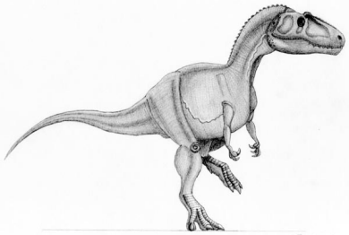 enantiornithine,archaeopteryx,pterodactilos,plumas,evolucion,Charles Darwin,dinosaurios,Nature,instintos,evoluciones,paleontologia,arqueologia,fosiles,Homo floresiensis,Mike Morwood,Chris Stringer,Nature,Homo sapiens,JRR Tolkien,Mike Morwood,Homo erectus,java,paleontologia,arqueologia,links,Maria Reich,Nazca,lineas,calendario astronomico,Peru,dibujos,astronomia,geometria,Bernd Teichert,mapas,Ana María Cogorno,ovnis,misterios,Cristobal Colon,Hernando,Diego,catedral Sevillana,Cartuja Pickman,José Antonio Lorente,Granada,ADN;restos,Marcial Castro,antropologia,Republica Dominicana,www.egipto.com,Egipto,Keops,piramides,descubrimientos,Aton,Ankh,tumbas,sarcofacos,momias,embalsamamientos,Kefren,camaras secretas,Nefertiti,Amenofis,Nilo,inundaciones,Blade Runner,Ridley Scott, Richard Dawkins,Steven Pinker,Harrison Ford,Stephen Minger,Stanley Kubrick,Daryl Hanna,replicantes,androides,ciencia ficcion,Contactos,SHGb02+14a,proyecto SETI,Search for Extra Terrestial Intelligence,SETI@home,Robert Zemeckis,Jodie Foster,Dan Wertheimer,New Scientist,Arecibo,Puerto Rico,civilizaciones extraterrestres,Ma liberté de penser,Florent Pagny,Argentina,France,Patagonia,Argentine,Azucena Caamaño,Savoir aimer,artistes,musique,musica,CD,cantores,ventas,compras,ranking,Paparazzi,Isabel Sartorius,Borbon,Ortiz Patiño,Vallejo Najera,Entrecanales,Mora Figueroa,Antonio Montero,Sainz Vicuña,España,jet set,Mallorca,Ibiza,John Fitzgerald Kennedy,Lee Harvey Oswald,Vitaliy Fadeyev,Lawrence Berkeley,Carl Haber,Fidel Castro,Lyndon B. Johnson,Jackie,Onassis,Irma Roy,Carolina Papaleo,Osvaldo,diputada nacional,Congreso,Argentina,Raul Granillo Ocampo,politica,justicialismo,peronismo,cine,television,La Horqueta,San Isidro,que se vayan todos,diciembre 2001,2002,2003,2004,maria julia alsogaray,alvaros,,Roberto Martínez Medina,Maria Julia Alsogaray,Raúl Granillo Ocampo,Jorge Rodríguez,Víctor Alderete,Claudia Bello,Angel Massa,Alfredo Yabran,Mario Pontaquarto,Nestor Carlos Kirchner,Cristina Elizabeth Fernandez,corrupcion,senado,general rodriguez,anibal,fernandez,alberto,fernando de la rua,ines pertine,eduardo duhalde,hilda chiche gonzalez,2000,2001,2002,2003,2004,Museos,www.louvre.fr,Leonardo Da Vinci,Gioconda,Mona Lisa,Italia,Francia,France,inventos,Italy,renacimiento,historia,cuadros,links,images,postcards,photos,fotos,imagenes,postales,pictures,historia,arqueologia,descubrimientos,culturales,agenda,infodiario,diario accion,buenos aires,argentina,Diario Accion de General Rodriguez, politica, actualidad, noticias e informacion, personalidades e instituciones, policiales, galerias de fotos; historia de General Rodriguez, sus origenes, edificios, estancias, habitos y costumbres, anecdotas, comercios e industrias, los fundadores, antiguas instituciones, fotos e imagenes; suplementos especiales: la crisis politica, economica y social de la Argentina, los acontecimientos de Diciembre de 2001, articulos y entrevistas; Emigracion: toda la informacion destinada a aquellos que desean emigrar, radicarse o estudiar en el exterior, visas, pasaportes, consejos, guias, informacion util, links; Trueque: novedades e informacion, links, estructura del trueque; el casamiento de Maxima Zorreguieta y el principe Guillermo Alejandro de Holanda; Guerra de Afganistan: galeria de imagenes e informacion sobre la primera guerra del siglo XXI; la guerra de Irak, Bagdad, Georges W. Bush, Saddam Husseim, el atentado a las torres Gemelas de Nueva York, las twin towers, el 11-s, y descripcion del hecho que conmovio al mundo; Empleo: consultoras, clasificados, agencias de empleo, consejos e informacion util, curriculum vitae, como confeccionarlos, noticias de actualidad; 
Los numeros de la crisis: Las consecuencias de la crisis politica, economica y social; estadisticas, pobreza, desnutricion, salud y asistencia; noticias regionales y provinciales, columnas y editoriales; informacion para negocios: pymes, links, empresas y negocios; Agenda Cultural con toda la informacion de cursos, universidades, talleres, escuelas y oportunidades, exposiciones de arte de la region; buscadores en Internet, Enlaces: links a los mejores sitios de educacion, cultura, arte, biografias, politica, interes general, web, Links del Diario Accion: RMS Titanic, su historia, su tragico viaje inaugural; historias, testimonios, documentos y articulos sobre el naufragio; links y sitios sobre el tema; la pelicula de Cameron, fotos e imagenes; suplementos especiales, Historia Argentina y de General Rodriguez, la llegada de la democracia en General Rodriguez, la asuncion de Juan Lumbreras como intendente en 1983, galeria de imagenes, sus palabras y los actos, su gabinete, festejos de la comunidad. Fundacion del pueblo de General Rodriguez, sus instituciones y personalidades relevantes, arquitectura y edificios, comercios e industrias, sus comienzos, estancias, inmigraciones italianas, españolas, vascas e irlandesas, anecdotas y efemerides, sus hombres ilustres, el Hospital Vicente Lopez y Planes, su fundacion por las Damas de Beneficencia, el hundimiento del crucero General Belgrano, testimonios de ex combatientes y tripulantes, su comandante Hector Elias Bonzo, fotos e imagenes, recuerdos y homenajes, historia de la familia Bonzo de General Rodriguez, entrevistas y articulos periodisticos. La guerra de Malvinas en el Atlantico Sur, el conflicto belico con Gran Bretaña de 1982, politicos relevantes, Benjamin Paez y Trueba, fotos antiguas de familias fundadoras, galerias de imagenes de pobladores, recorrida virtual por el antiguo General Rodriguez, el paso de la Infanta en 1910, historia de La Serenisima, la familia Mastellone, La Choza, Bernardo de Irigoyen, peronismo y radicalismo y muchisimo mas