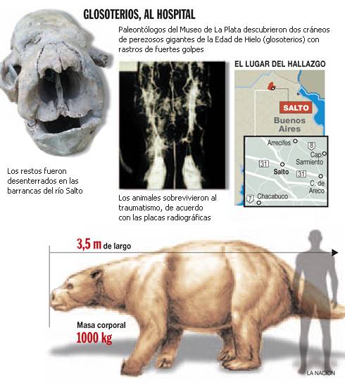 enantiornithine,archaeopteryx,pterodactilos,plumas,evolucion,Charles Darwin,dinosaurios,Nature,instintos,evoluciones,paleontologia,arqueologia,fosiles,Homo floresiensis,Mike Morwood,Chris Stringer,Nature,Homo sapiens,JRR Tolkien,Mike Morwood,Homo erectus,java,paleontologia,arqueologia,links,Maria Reich,Nazca,lineas,calendario astronomico,Peru,dibujos,astronomia,geometria,Bernd Teichert,mapas,Ana María Cogorno,ovnis,misterios,Cristobal Colon,Hernando,Diego,catedral Sevillana,Cartuja Pickman,José Antonio Lorente,Granada,ADN;restos,Marcial Castro,antropologia,Republica Dominicana,www.egipto.com,Egipto,Keops,piramides,descubrimientos,Aton,Ankh,tumbas,sarcofacos,momias,embalsamamientos,Kefren,camaras secretas,Nefertiti,Amenofis,Nilo,inundaciones,Blade Runner,Ridley Scott, Richard Dawkins,Steven Pinker,Harrison Ford,Stephen Minger,Stanley Kubrick,Daryl Hanna,replicantes,androides,ciencia ficcion,Contactos,SHGb02+14a,proyecto SETI,Search for Extra Terrestial Intelligence,SETI@home,Robert Zemeckis,Jodie Foster,Dan Wertheimer,New Scientist,Arecibo,Puerto Rico,civilizaciones extraterrestres,Ma liberté de penser,Florent Pagny,Argentina,France,Patagonia,Argentine,Azucena Caamaño,Savoir aimer,artistes,musique,musica,CD,cantores,ventas,compras,ranking,Paparazzi,Isabel Sartorius,Borbon,Ortiz Patiño,Vallejo Najera,Entrecanales,Mora Figueroa,Antonio Montero,Sainz Vicuña,España,jet set,Mallorca,Ibiza,John Fitzgerald Kennedy,Lee Harvey Oswald,Vitaliy Fadeyev,Lawrence Berkeley,Carl Haber,Fidel Castro,Lyndon B. Johnson,Jackie,Onassis,Irma Roy,Carolina Papaleo,Osvaldo,diputada nacional,Congreso,Argentina,Raul Granillo Ocampo,politica,justicialismo,peronismo,cine,television,La Horqueta,San Isidro,que se vayan todos,diciembre 2001,2002,2003,2004,maria julia alsogaray,alvaros,,Roberto Martínez Medina,Maria Julia Alsogaray,Raúl Granillo Ocampo,Jorge Rodríguez,Víctor Alderete,Claudia Bello,Angel Massa,Alfredo Yabran,Mario Pontaquarto,Nestor Carlos Kirchner,Cristina Elizabeth Fernandez,corrupcion,senado,general rodriguez,anibal,fernandez,alberto,fernando de la rua,ines pertine,eduardo duhalde,hilda chiche gonzalez,2000,2001,2002,2003,2004,Museos,www.louvre.fr,Leonardo Da Vinci,Gioconda,Mona Lisa,Italia,Francia,France,inventos,Italy,renacimiento,historia,cuadros,links,images,postcards,photos,fotos,imagenes,postales,pictures,historia,arqueologia,descubrimientos,culturales,agenda,infodiario,diario accion,buenos aires,argentina,Diario Accion de General Rodriguez, politica, actualidad, noticias e informacion, personalidades e instituciones, policiales, galerias de fotos; historia de General Rodriguez, sus origenes, edificios, estancias, habitos y costumbres, anecdotas, comercios e industrias, los fundadores, antiguas instituciones, fotos e imagenes; suplementos especiales: la crisis politica, economica y social de la Argentina, los acontecimientos de Diciembre de 2001, articulos y entrevistas; Emigracion: toda la informacion destinada a aquellos que desean emigrar, radicarse o estudiar en el exterior, visas, pasaportes, consejos, guias, informacion util, links; Trueque: novedades e informacion, links, estructura del trueque; el casamiento de Maxima Zorreguieta y el principe Guillermo Alejandro de Holanda; Guerra de Afganistan: galeria de imagenes e informacion sobre la primera guerra del siglo XXI; la guerra de Irak, Bagdad, Georges W. Bush, Saddam Husseim, el atentado a las torres Gemelas de Nueva York, las twin towers, el 11-s, y descripcion del hecho que conmovio al mundo; Empleo: consultoras, clasificados, agencias de empleo, consejos e informacion util, curriculum vitae, como confeccionarlos, noticias de actualidad; 
Los numeros de la crisis: Las consecuencias de la crisis politica, economica y social; estadisticas, pobreza, desnutricion, salud y asistencia; noticias regionales y provinciales, columnas y editoriales; informacion para negocios: pymes, links, empresas y negocios; Agenda Cultural con toda la informacion de cursos, universidades, talleres, escuelas y oportunidades, exposiciones de arte de la region; buscadores en Internet, Enlaces: links a los mejores sitios de educacion, cultura, arte, biografias, politica, interes general, web, Links del Diario Accion: RMS Titanic, su historia, su tragico viaje inaugural; historias, testimonios, documentos y articulos sobre el naufragio; links y sitios sobre el tema; la pelicula de Cameron, fotos e imagenes; suplementos especiales, Historia Argentina y de General Rodriguez, la llegada de la democracia en General Rodriguez, la asuncion de Juan Lumbreras como intendente en 1983, galeria de imagenes, sus palabras y los actos, su gabinete, festejos de la comunidad. Fundacion del pueblo de General Rodriguez, sus instituciones y personalidades relevantes, arquitectura y edificios, comercios e industrias, sus comienzos, estancias, inmigraciones italianas, españolas, vascas e irlandesas, anecdotas y efemerides, sus hombres ilustres, el Hospital Vicente Lopez y Planes, su fundacion por las Damas de Beneficencia, el hundimiento del crucero General Belgrano, testimonios de ex combatientes y tripulantes, su comandante Hector Elias Bonzo, fotos e imagenes, recuerdos y homenajes, historia de la familia Bonzo de General Rodriguez, entrevistas y articulos periodisticos. La guerra de Malvinas en el Atlantico Sur, el conflicto belico con Gran Bretaña de 1982, politicos relevantes, Benjamin Paez y Trueba, fotos antiguas de familias fundadoras, galerias de imagenes de pobladores, recorrida virtual por el antiguo General Rodriguez, el paso de la Infanta en 1910, historia de La Serenisima, la familia Mastellone, La Choza, Bernardo de Irigoyen, peronismo y radicalismo y muchisimo mas
