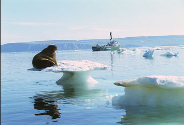 cambioclimatico.jpg (21028 bytes)