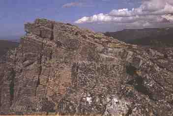 cebol1.jpg (8652 bytes)