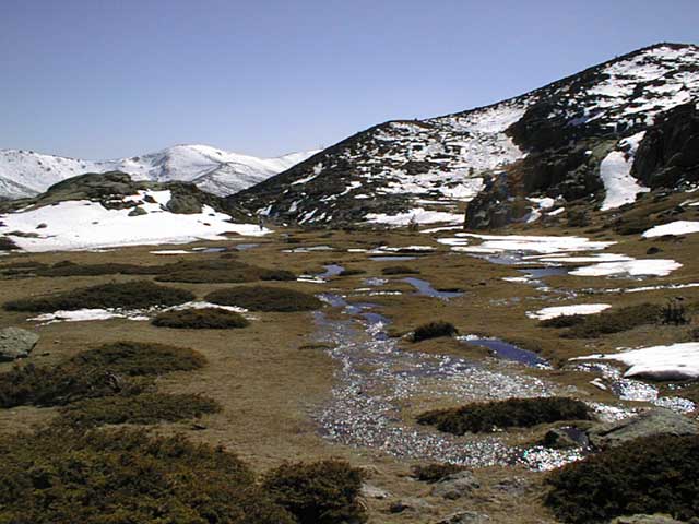 p2.jpg (51873 bytes)