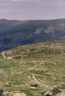 pen4.jpg (31905 bytes)