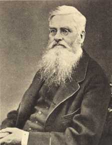 w2.jpg (7876 bytes)