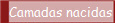 Camadas nacidas