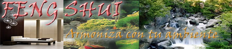Feng shui, el feng shui, chi feng shui, feng shui clasico, Decoracion feng shui, cursos feng shui, chi, ying, yang, energía, equilibrio, salud, flujo, Malestar fisico, problemas fisicos, Consejos feng shui, feng shui cocina, velas feng shui, feng shui hogar