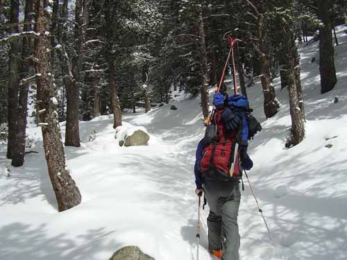 Ascensio al Puigpedros (2914m). 