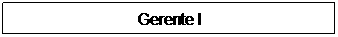 Text Box: Gerente I
