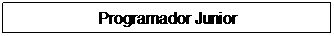Text Box: Programador Junior
