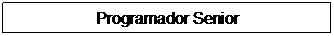 Text Box: Programador Senior
