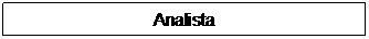 Text Box: Analista
