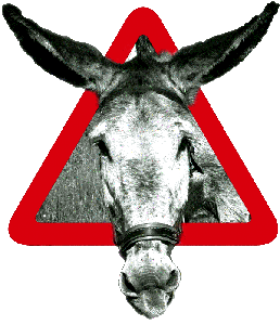 Burros en Peligro, Exposicion reivindicativa por la Proteccion de la Especie Asnal