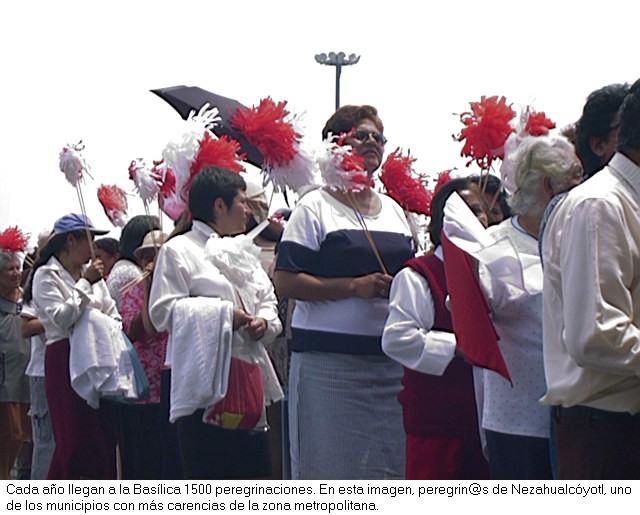 Peregrinación