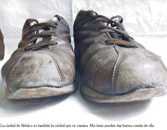 Tenis