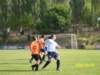 Photo Number 13