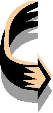 Anterior
