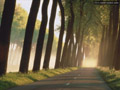 bosq05.jpg (650x488)