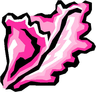 wpe7.jpg (21445 bytes)