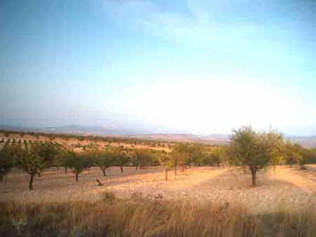 Vistacapellania1