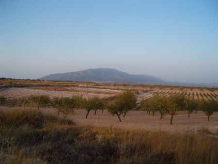 vista1
