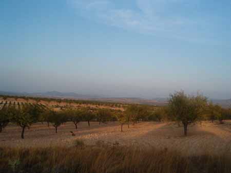 vista2