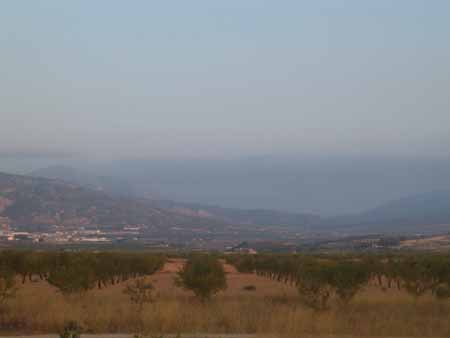 vista6