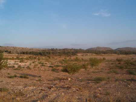 vista4