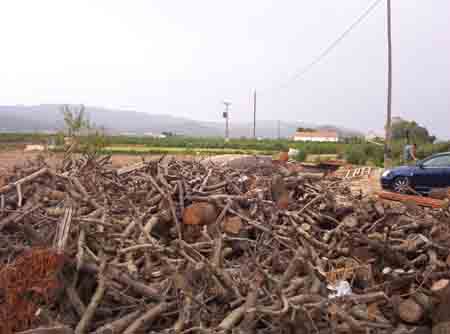 villena5