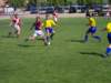 Photo Number 8