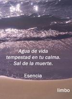 Esencia y limbo
