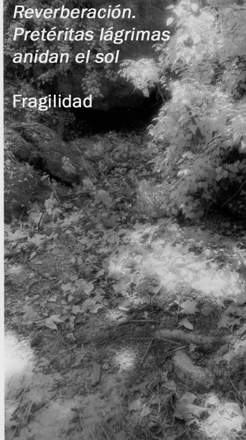 Fragilidad y limbo