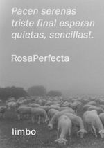 RosaPerfecta y limbo