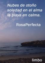RosaPerfecta y limbo