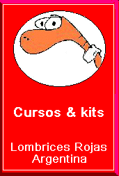 logolombri.bmp