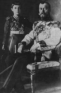 nicolasii