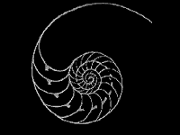 espiral