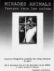 animals