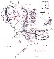 Mapa Tierra Media