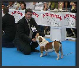 Naomi de best bulldog girona (Salina) 